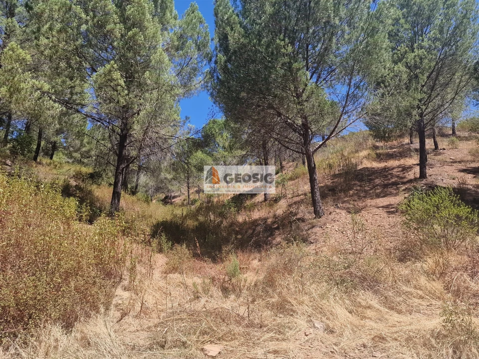 Quinta T0 para Venda em São Barnabe Foto 32