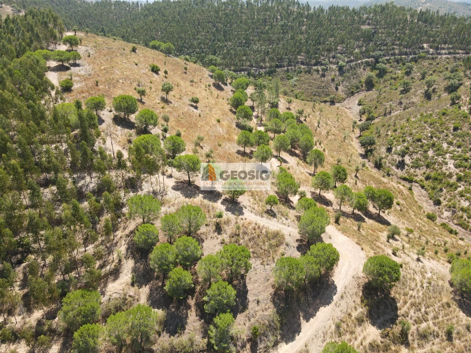 Quinta T0 para Venda em São Barnabe Foto 20