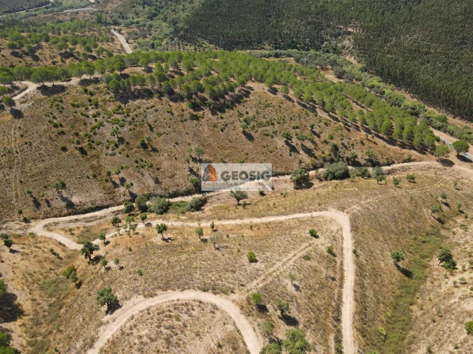 Quinta T0 para Venda em São Barnabe Foto 8