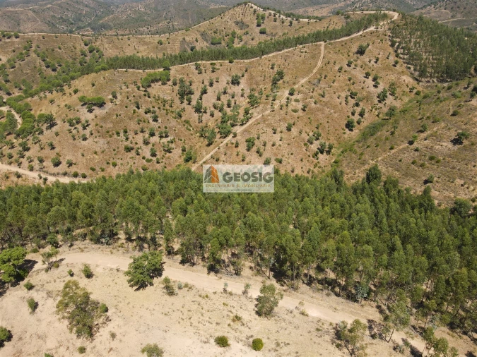 Quinta T0 para Venda em São Barnabe Foto 30