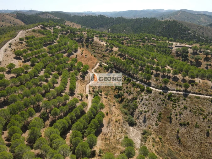 Quinta T0 para Venda em São Barnabe Foto 12