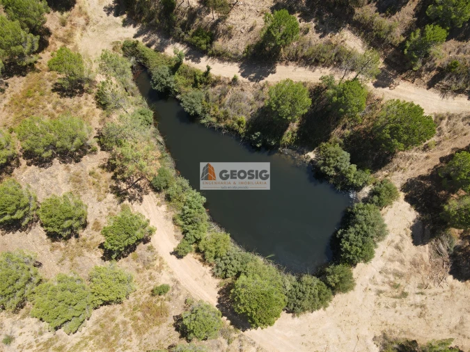 Quinta T0 para Venda em São Barnabe Foto 17