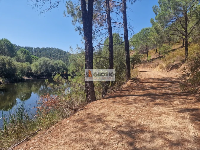 Quinta T0 para Venda em São Barnabe Foto 19