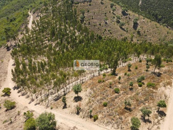 Quinta T0 para Venda em São Barnabe Foto 26