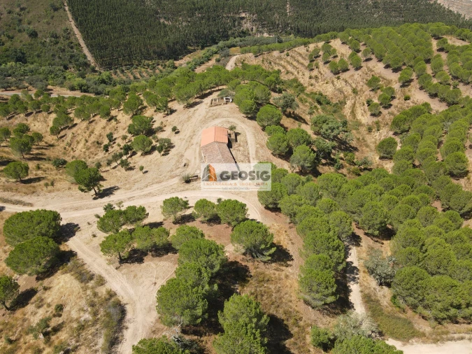 Quinta T0 para Venda em São Barnabe