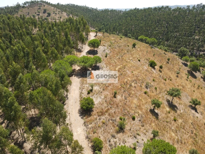 Quinta T0 para Venda em São Barnabe Foto 22