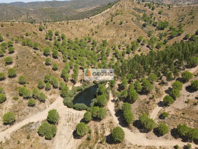 Quinta T0 para Venda em São Barnabe Foto 16