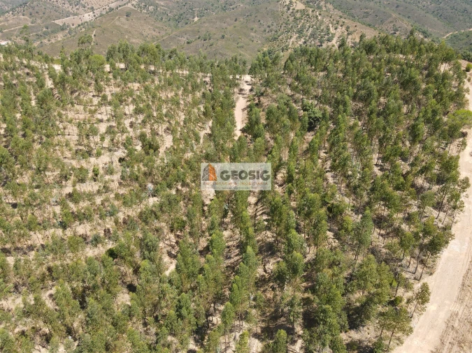 Quinta T0 para Venda em São Barnabe Foto 29