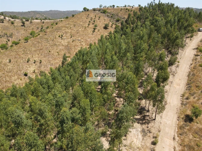 Quinta T0 para Venda em São Barnabe Foto 24