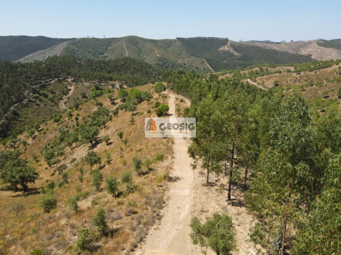 Quinta T0 para Venda em São Barnabe Foto 14