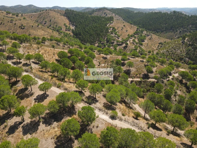 Quinta T0 para Venda em São Barnabe Foto 10