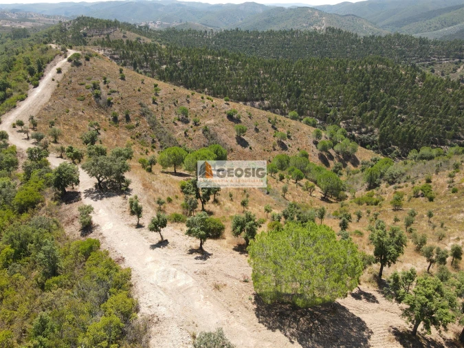 Quinta T0 para Venda em São Barnabe Foto 25