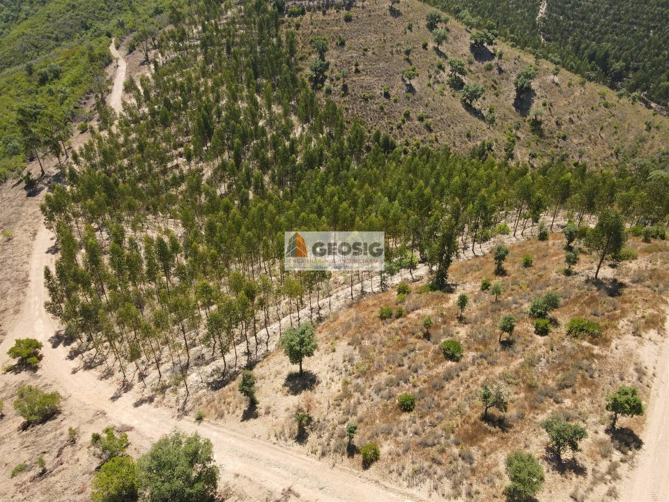 Quinta T0 para Venda em São Barnabe Foto 26