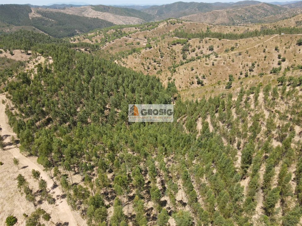 Quinta T0 para Venda em São Barnabe Foto 28