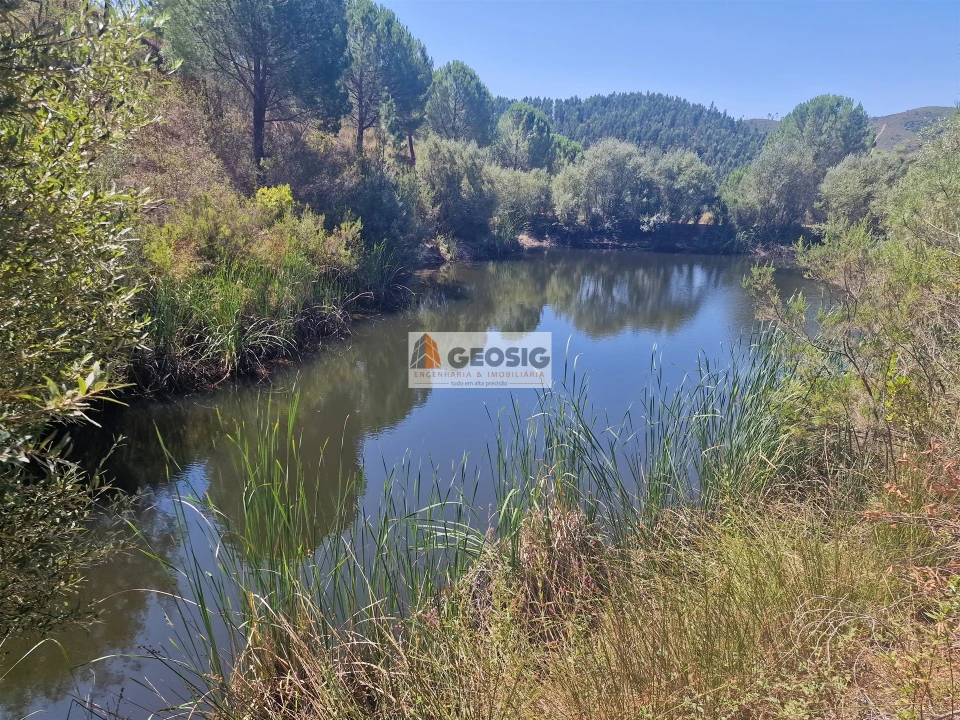 Quinta T0 para Venda em São Barnabe Foto 18