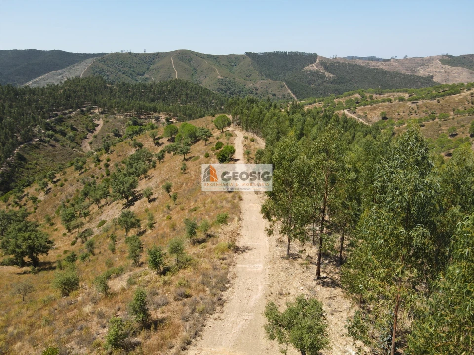 Quinta T0 para Venda em São Barnabe Foto 14