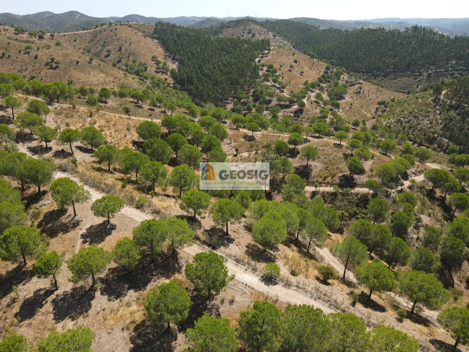 Quinta T0 para Venda em São Barnabe Foto 10