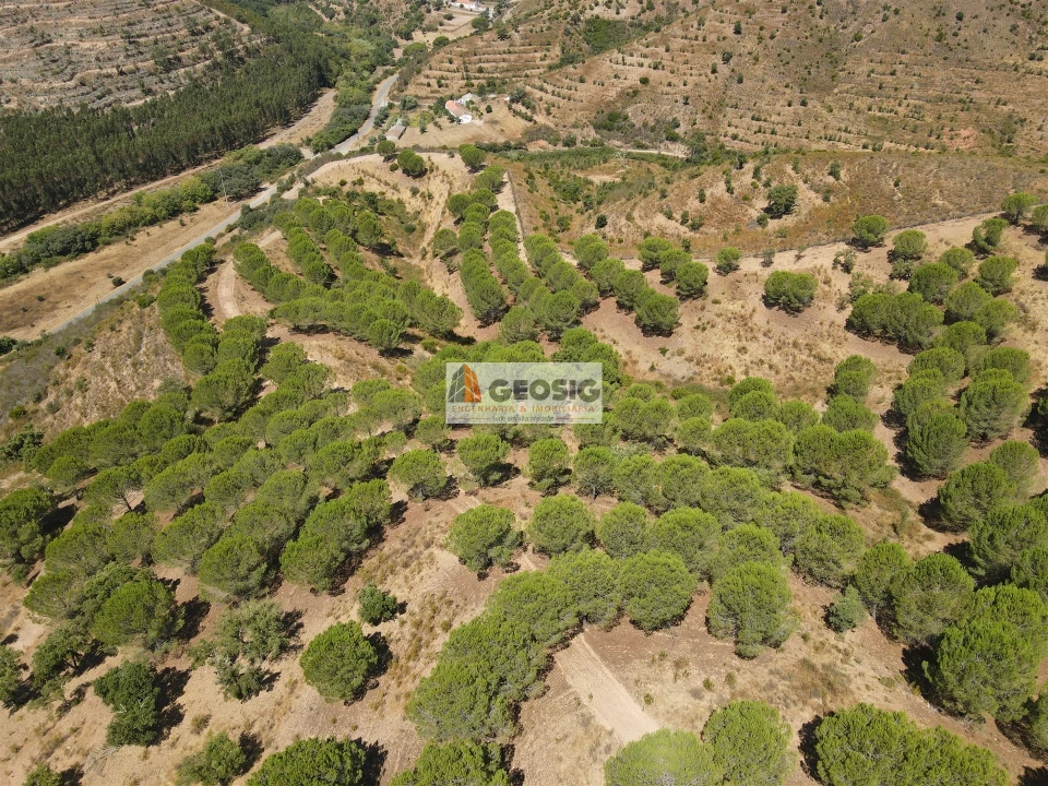 Quinta T0 para Venda em São Barnabe Foto 7