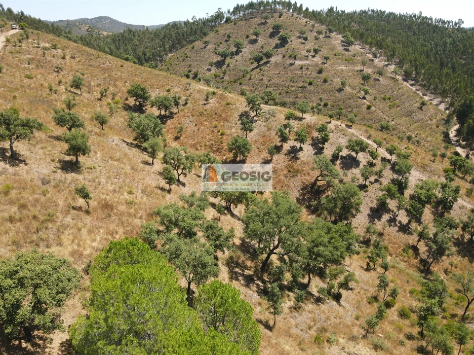 Quinta T0 para Venda em São Barnabe Foto 23