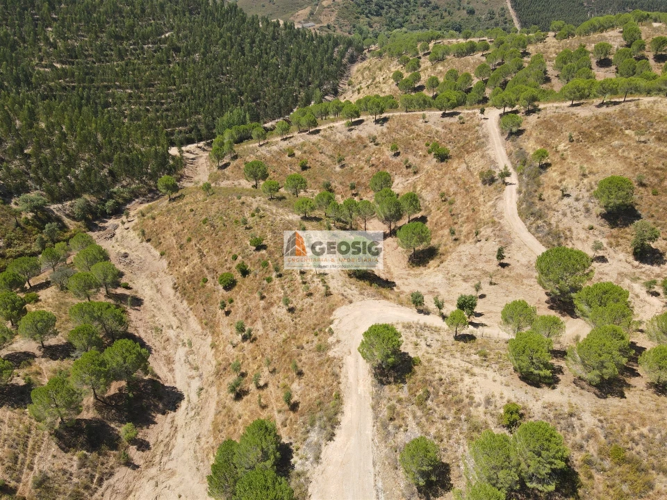Quinta T0 para Venda em São Barnabe Foto 21