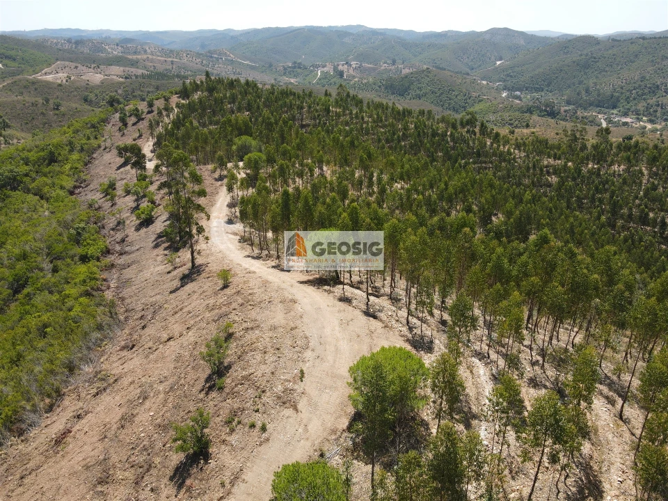 Quinta T0 para Venda em São Barnabe Foto 27