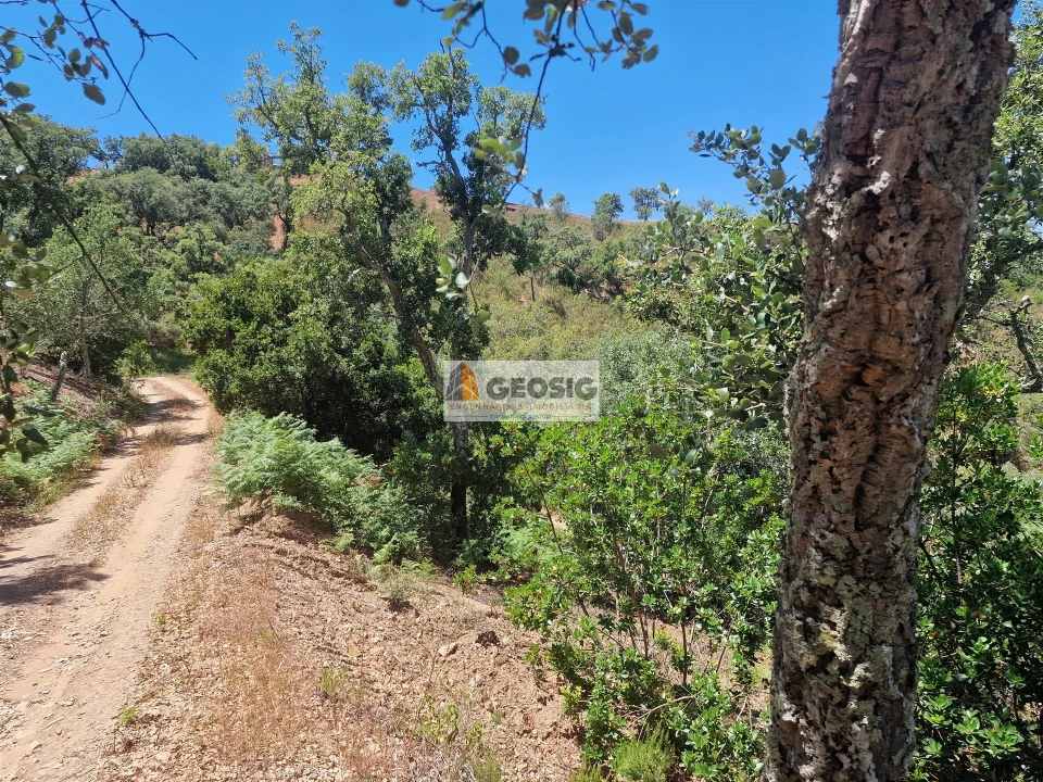 Terreno Agricola ou Rústico para Venda em São Barnabe Foto 9