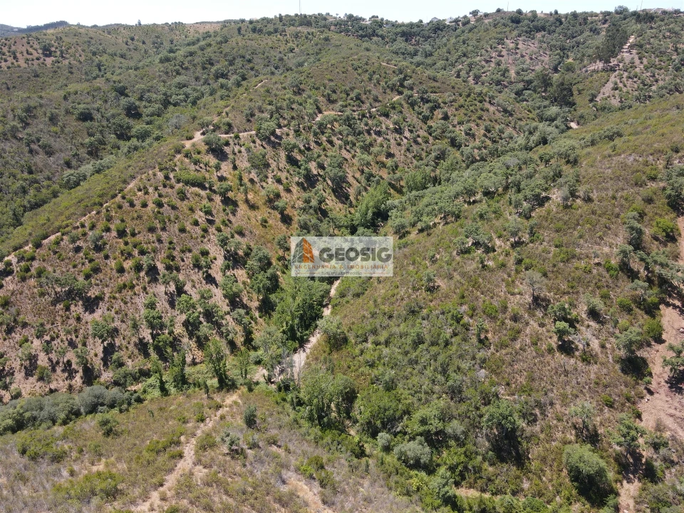 Terreno Agricola ou Rústico para Venda em São Barnabe Foto 4