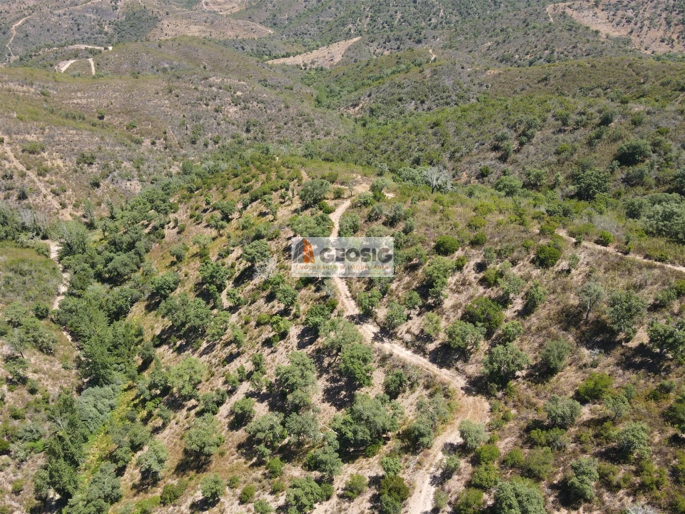 Terreno Agricola ou Rústico para Venda em São Barnabe Foto 5