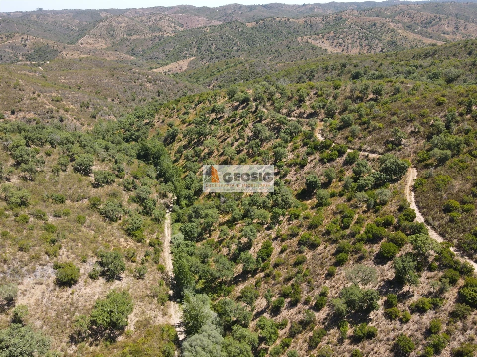 Terreno Agricola ou Rústico para Venda em São Barnabe Foto 2
