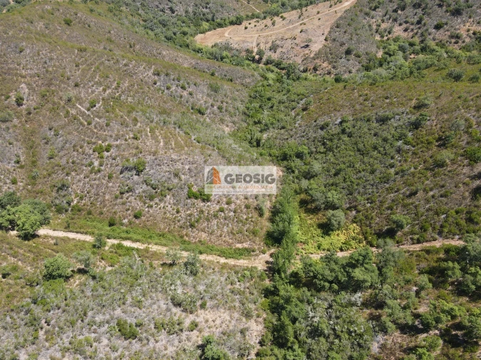 Terreno Agricola ou Rústico para Venda em São Barnabe Foto 6