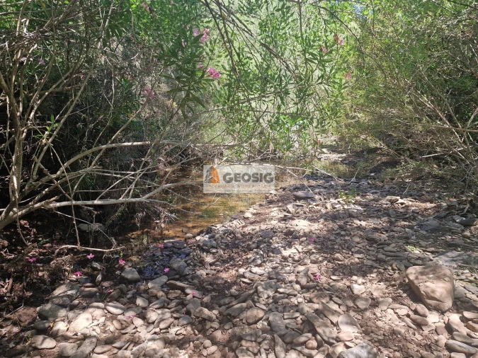 Terreno Agricola ou Rústico para Venda em São Barnabe Foto 11