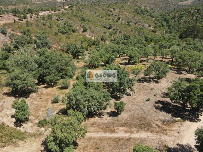 Terreno Agricola ou Rústico para Venda em São Barnabe Foto 1