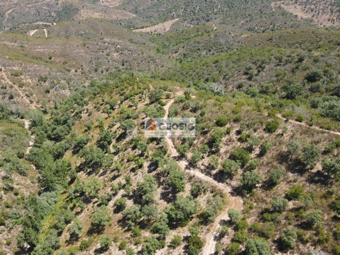 Terreno Agricola ou Rústico para Venda em São Barnabe Foto 5