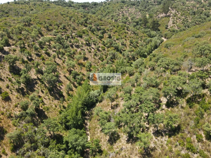 Terreno Agricola ou Rústico para Venda em São Barnabe Foto 8