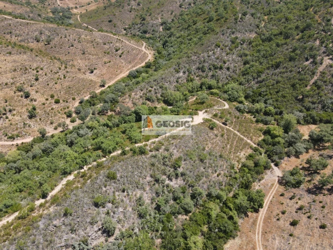 Terreno Agricola ou Rústico para Venda em São Barnabe Foto 7