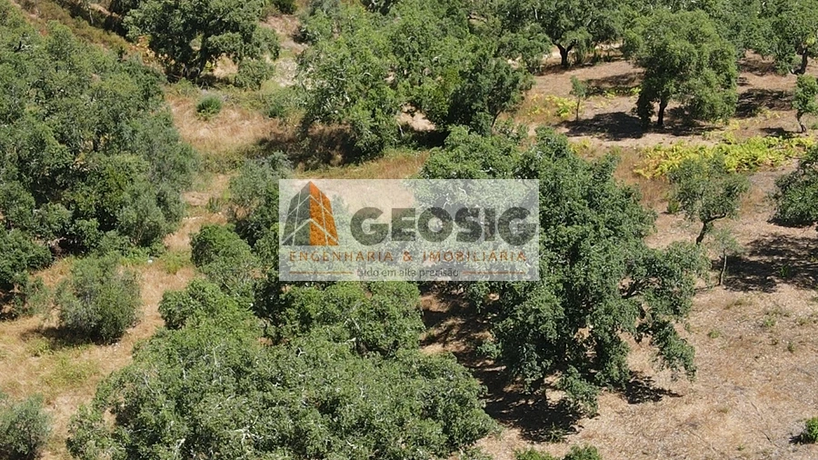 Terreno Agricola ou Rústico para Venda em São Barnabe