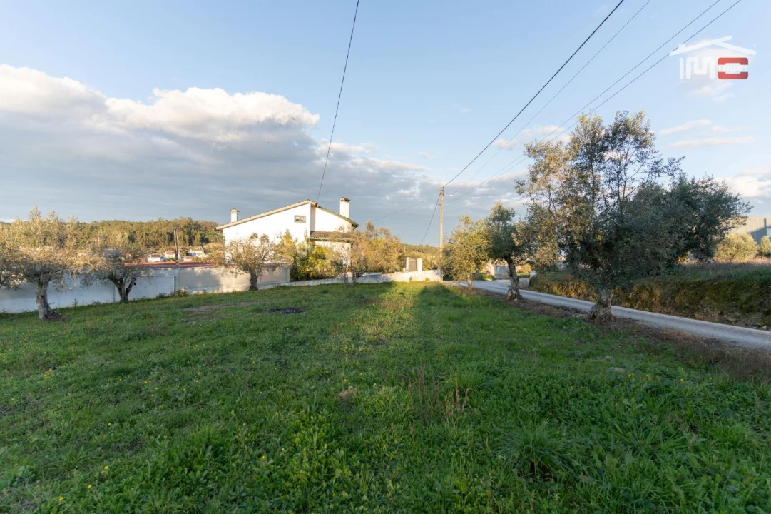 Terreno Agricola ou Rústico para Venda em Atouguia Foto 3