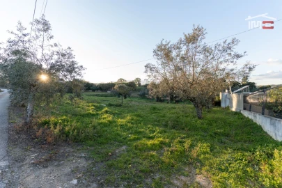 Terreno Agricola ou Rústico para Venda em Atouguia