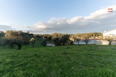 Terreno Agricola ou Rústico para Venda em Atouguia
