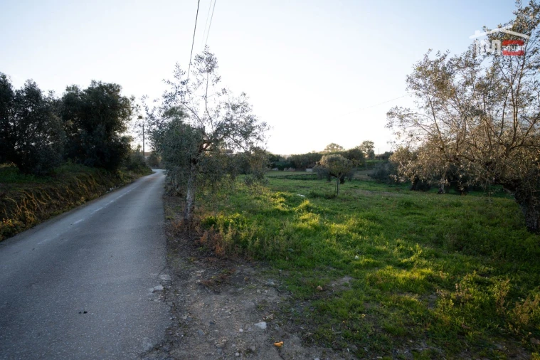 Terreno Agricola ou Rústico para Venda em Atouguia Foto 2