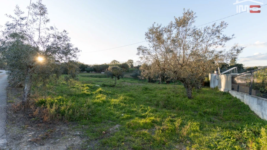 Terreno Agricola ou Rústico para Venda em Atouguia
