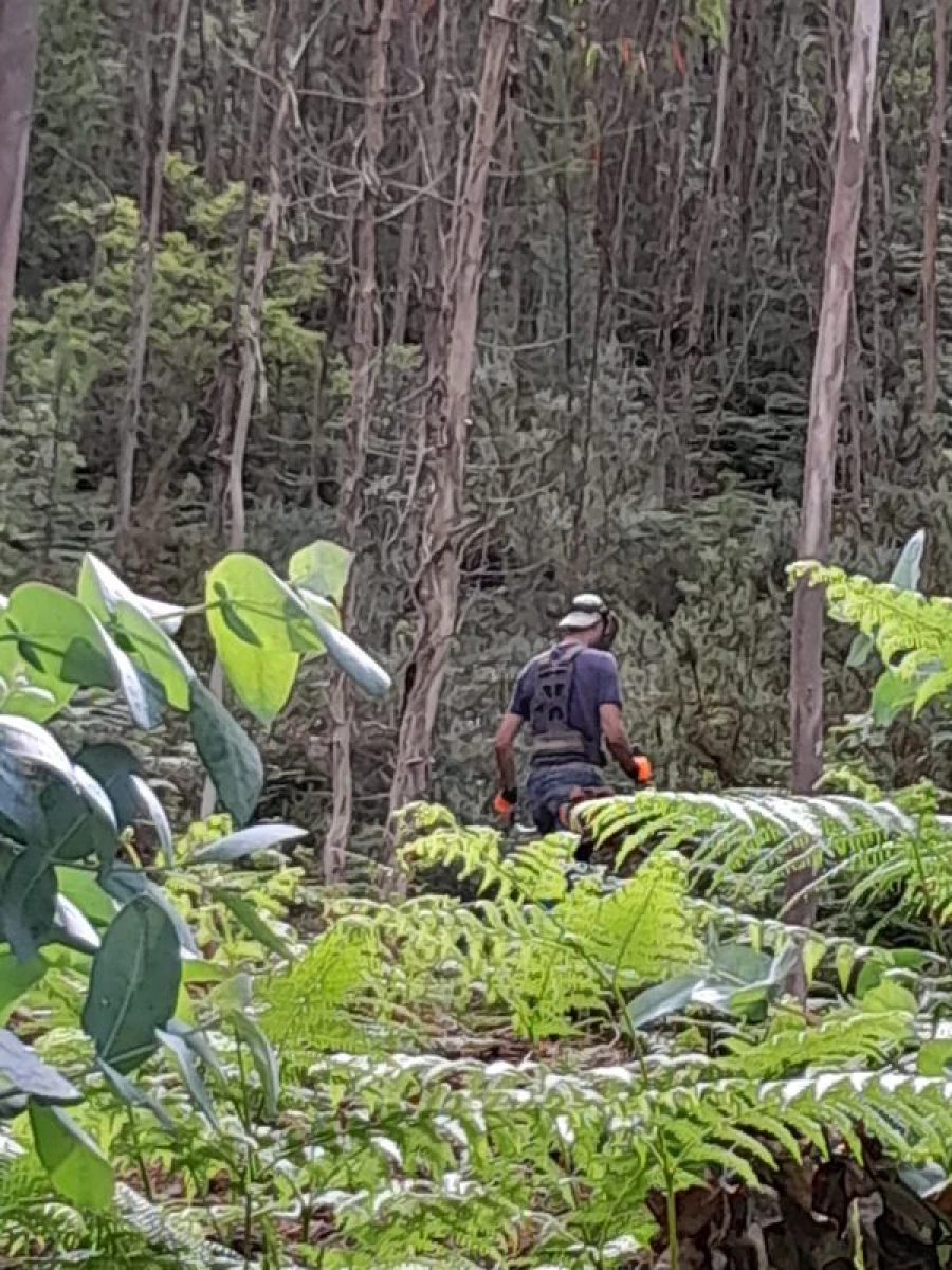 Terreno para Venda em Mosteiro Foto 7