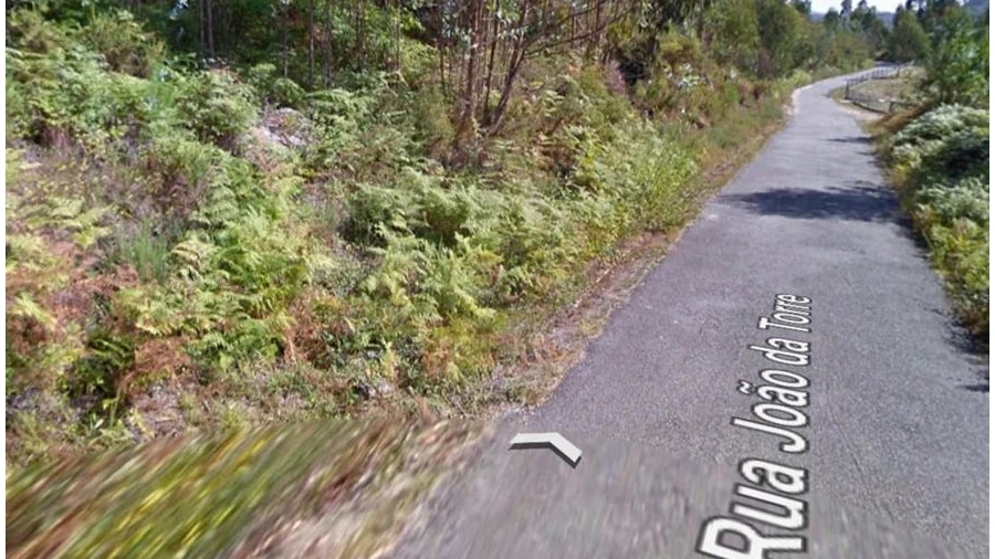 Terreno para Venda em Mosteiro