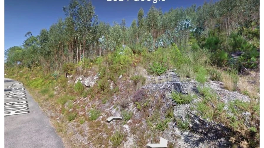 Terreno para Venda em Mosteiro