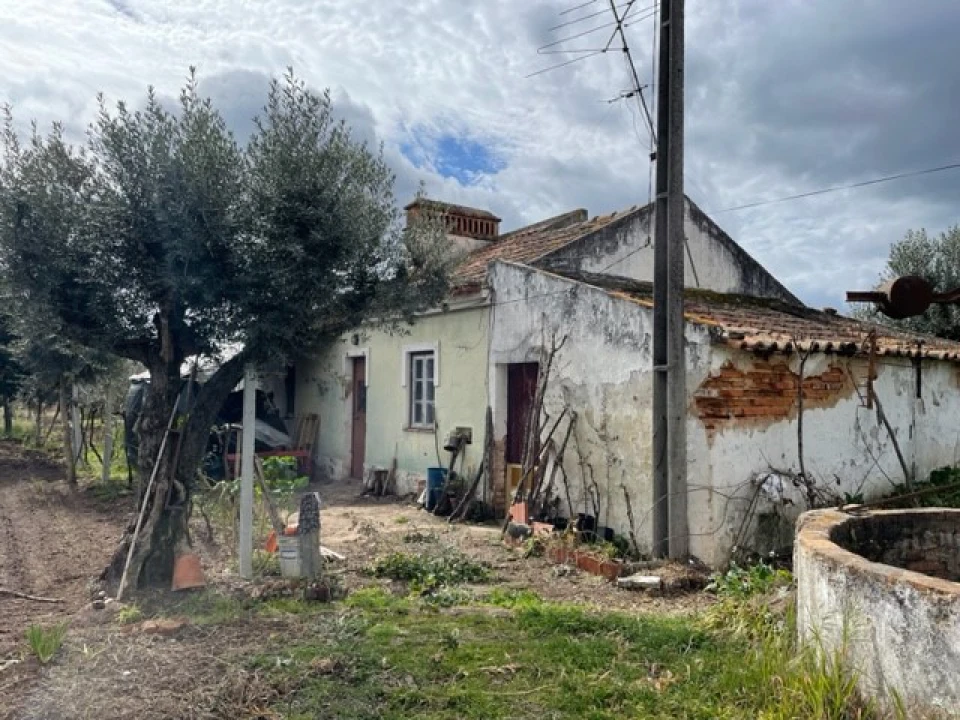 Quinta para Venda em Ponte de Sor, Tramaga e Vale de Açor Foto 8
