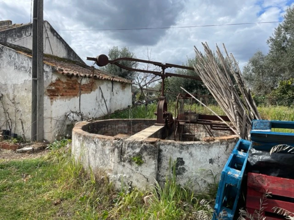 Quinta para Venda em Ponte de Sor, Tramaga e Vale de Açor Foto 10