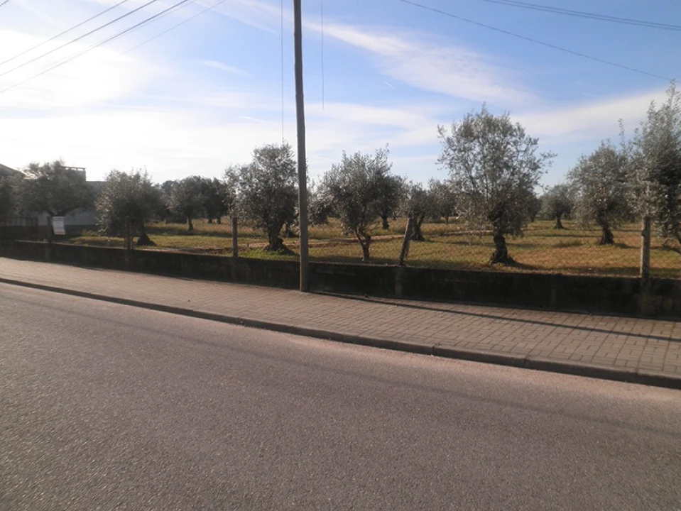 Quinta para Venda em Ponte de Sor, Tramaga e Vale de Açor Foto 2