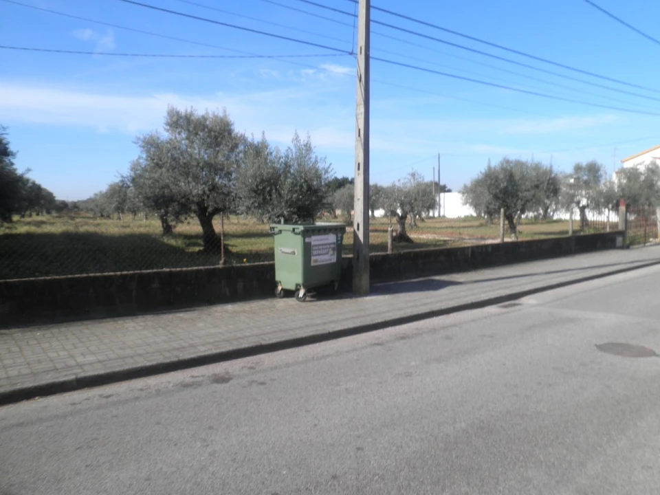 Quinta para Venda em Ponte de Sor, Tramaga e Vale de Açor Foto 3