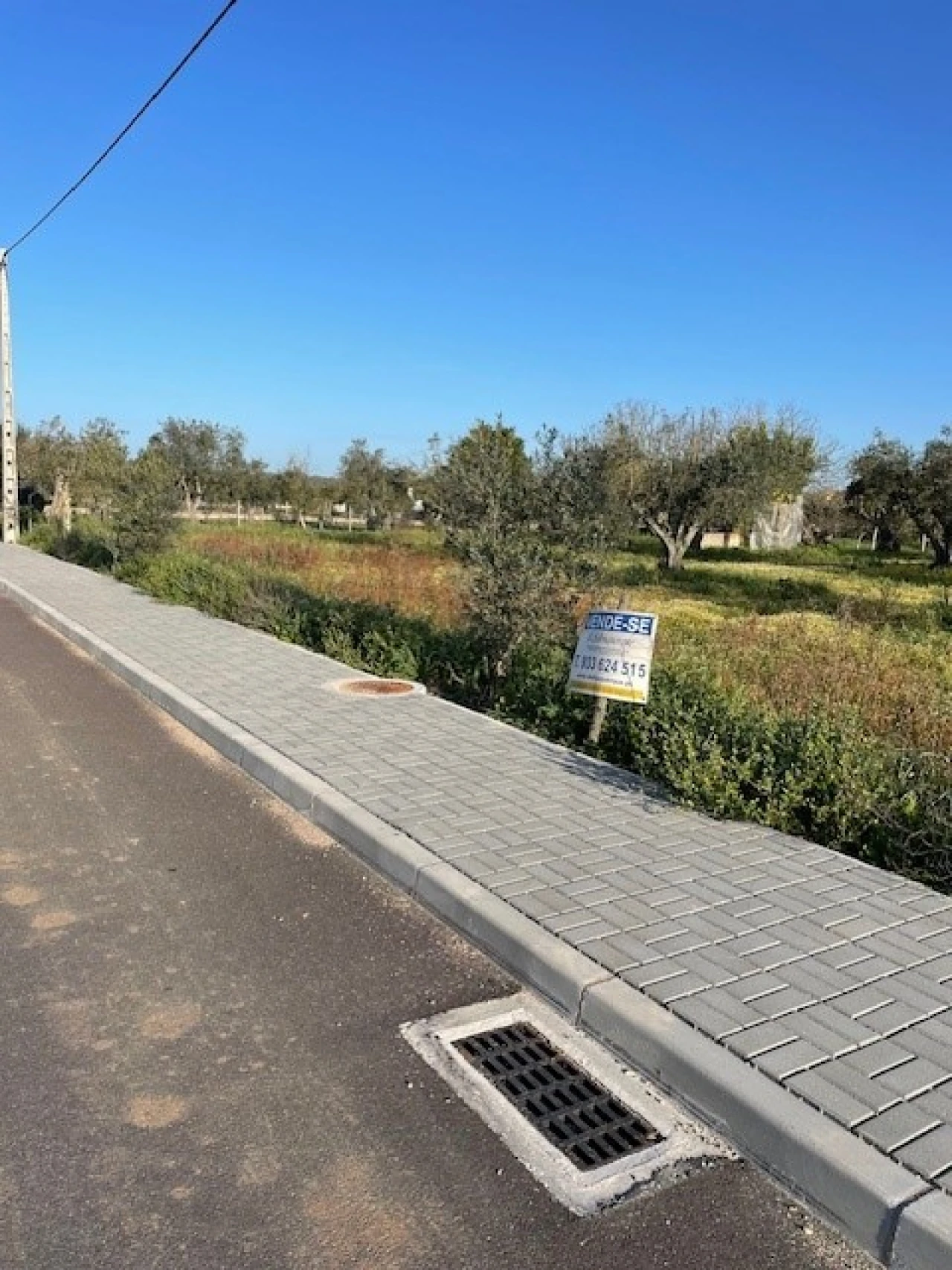 Quinta para Venda em Ponte de Sor, Tramaga e Vale de Açor Foto 18