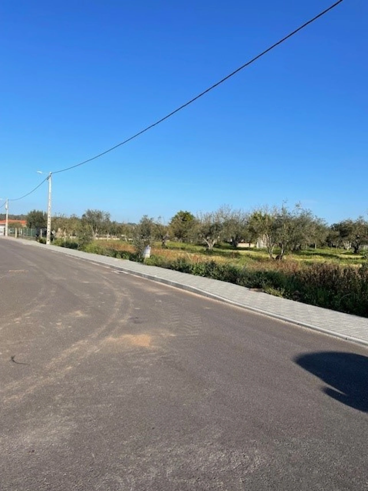 Quinta para Venda em Ponte de Sor, Tramaga e Vale de Açor Foto 19